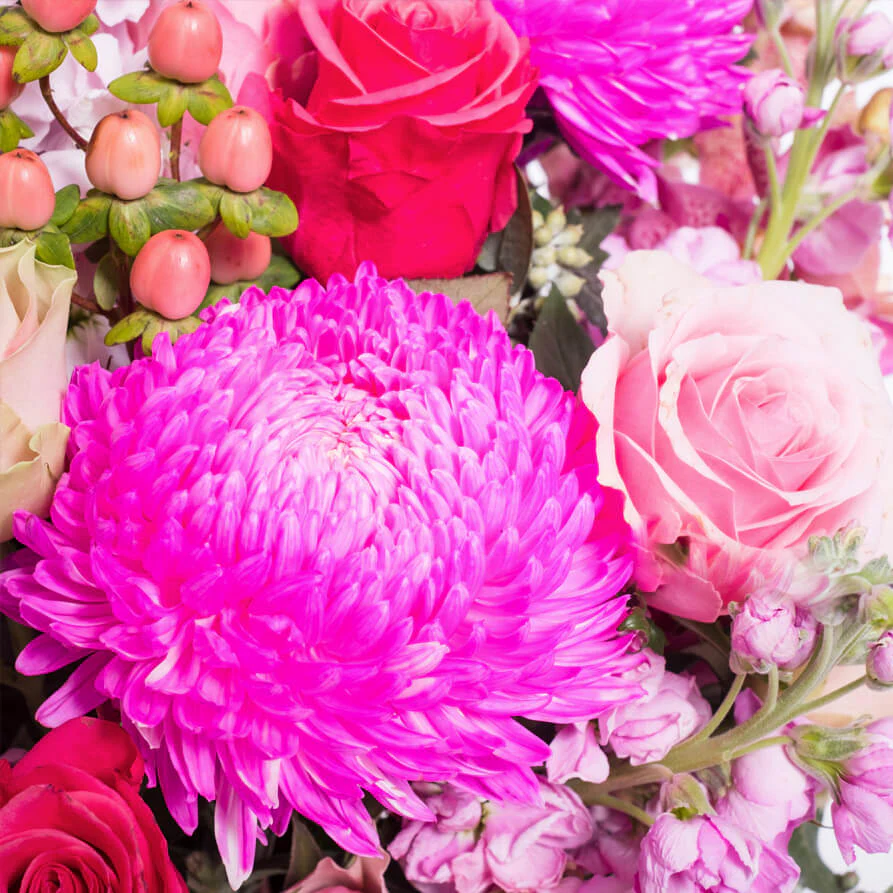 Pink-Deluxe-Cube-th2_893x