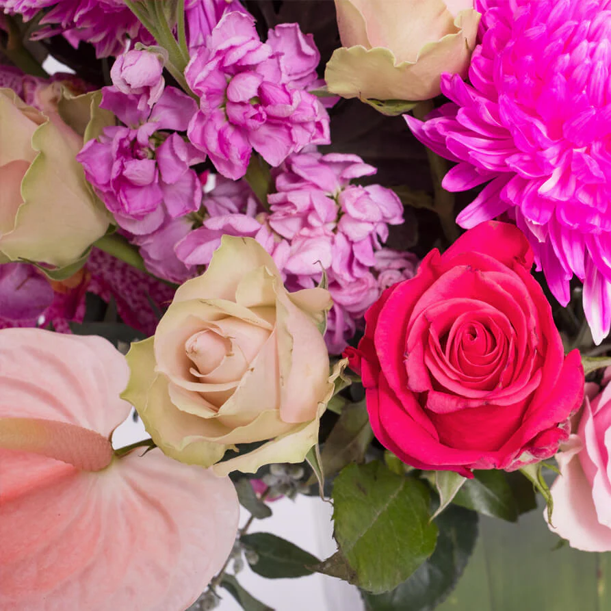 Pink-Deluxe-Cube-th3_893x