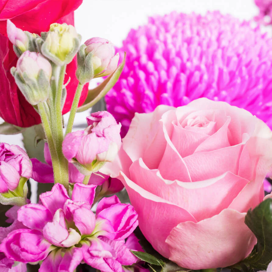 Pink-Deluxe-Cube-th4_893x