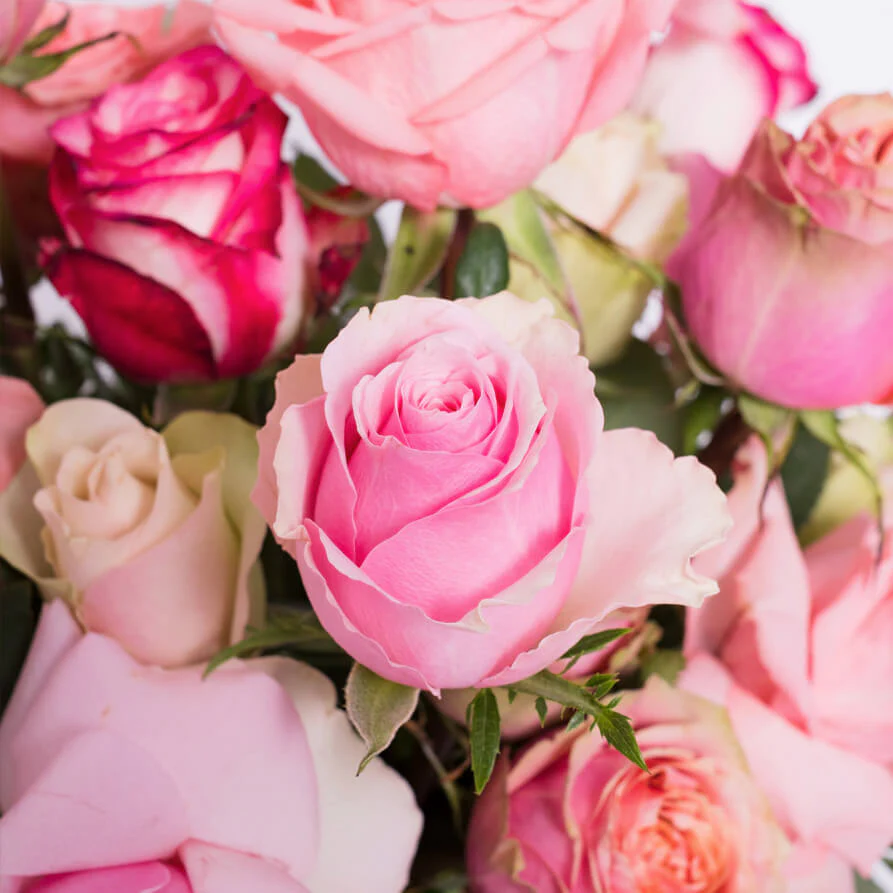 Pinks-Roses-Vase-th1_893x