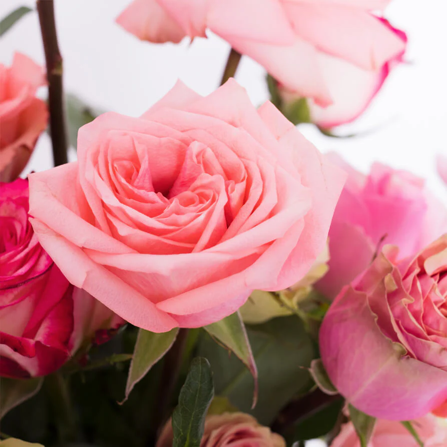 Pinks-Roses-Vase-th2_893x