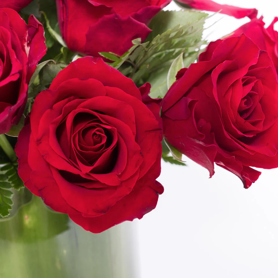 Red-Roses-Vase-th3_893x