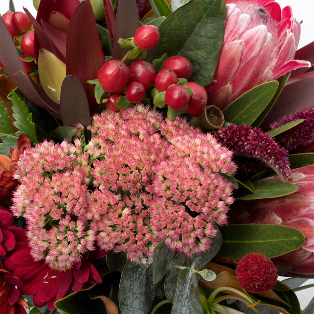 Red-Wild-Flower-Pot-th2_1000x