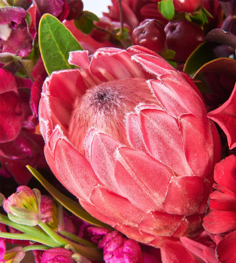 Red-and-Burgundy-Hat-Box-th1_800x