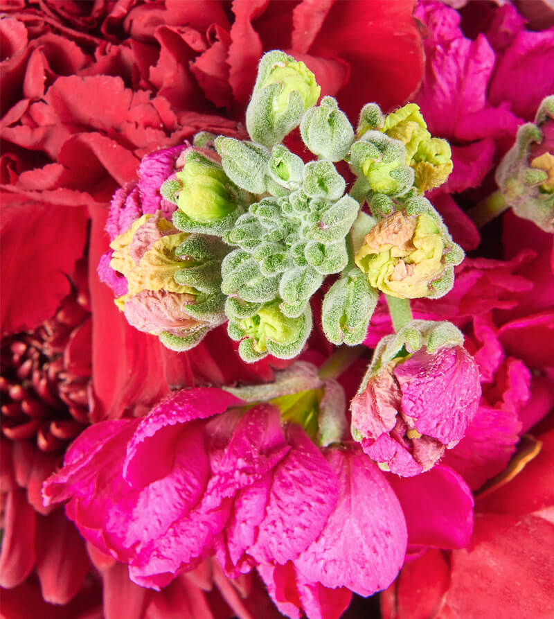 Red-and-Burgundy-Hat-Box-th3_800x