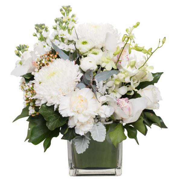 White-Deluxe-Cube-Featured_800x