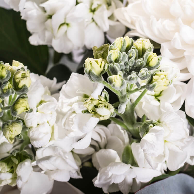 White-Deluxe-Cube-TH3_800x