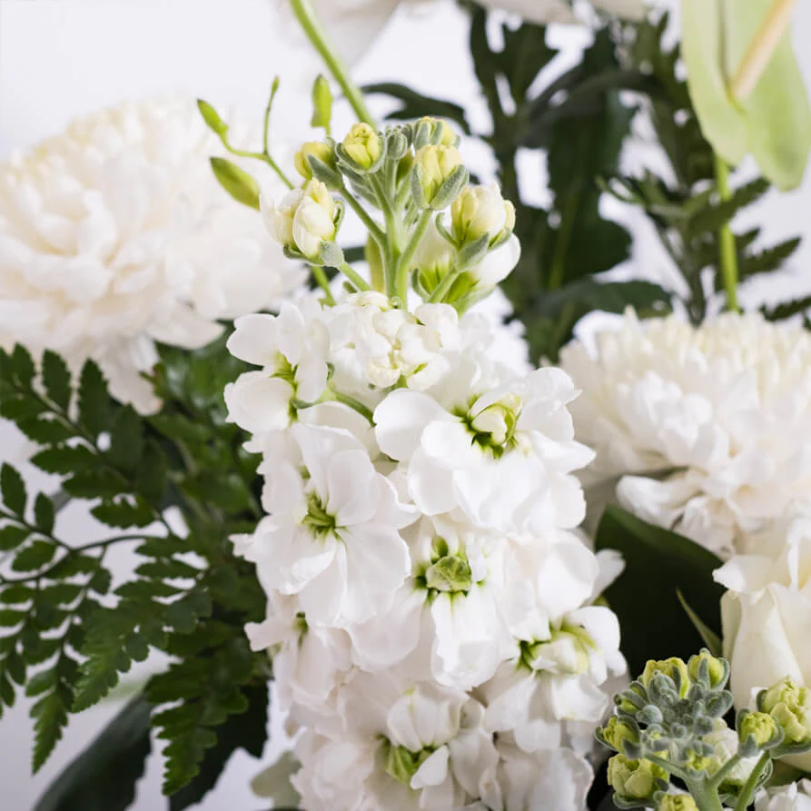 White-Deluxe-Hat-Box-th3_893x