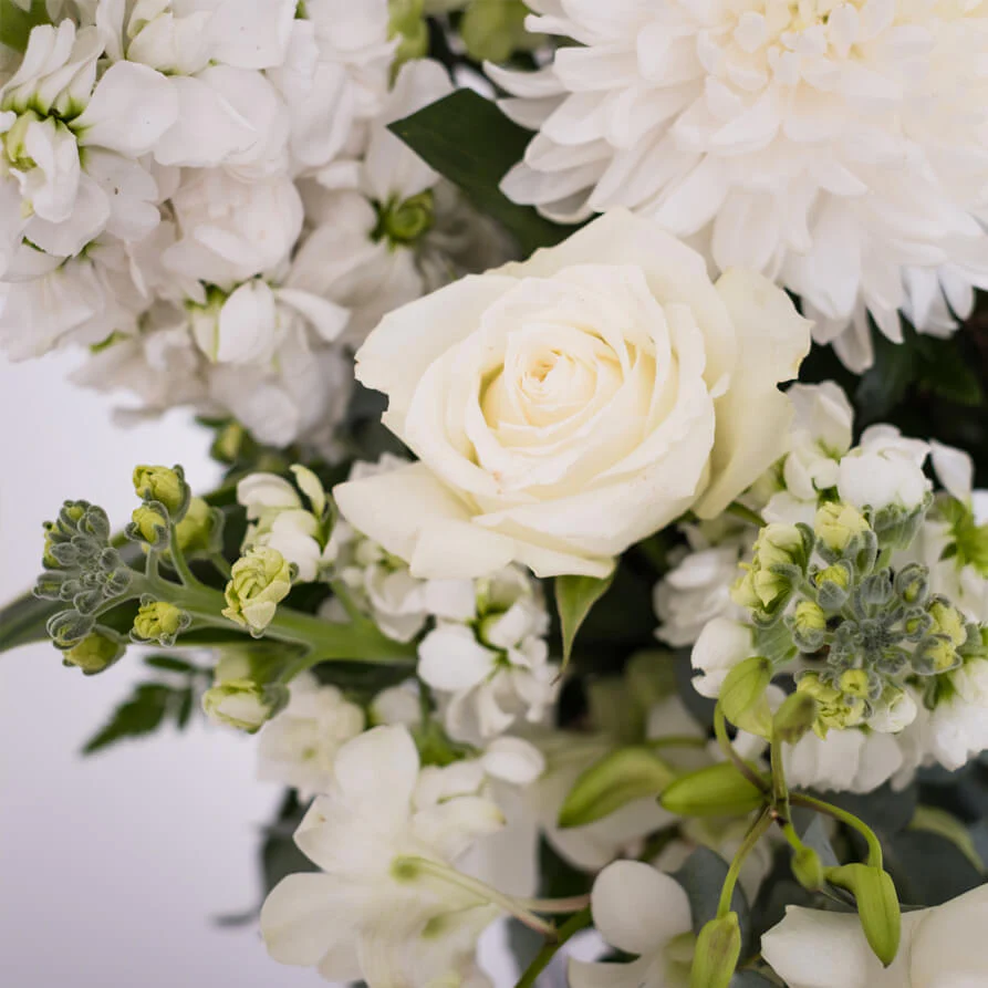 White-Deluxe-Hat-Box-th4_893x