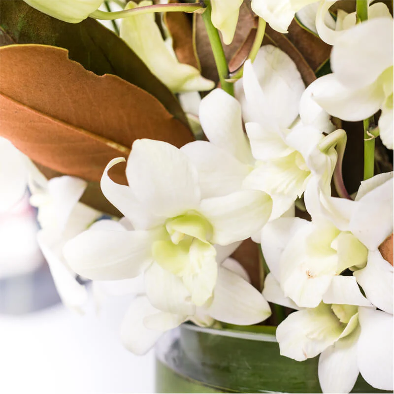 White-Orchid-Vase-TH2_800x