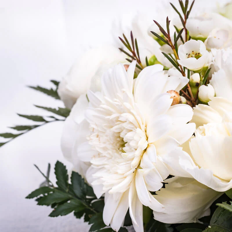 White-Wreath-TH3_800x