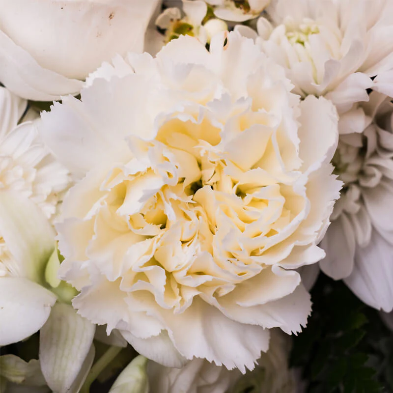 White-Wreath-TH4_800x