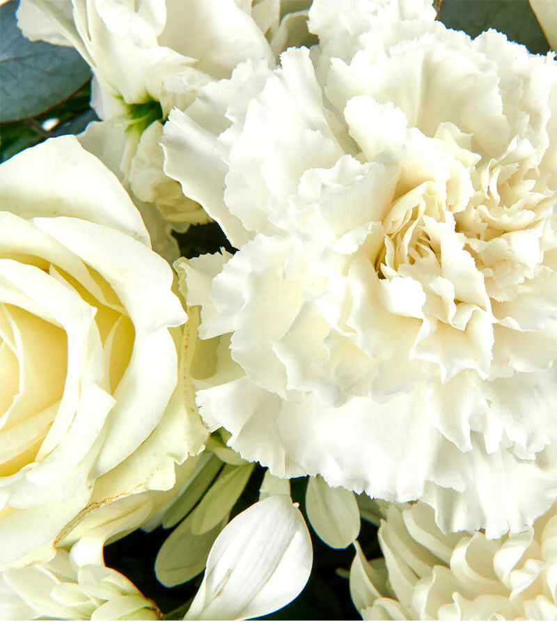 Winter-White-Hat-Box-th2_800x