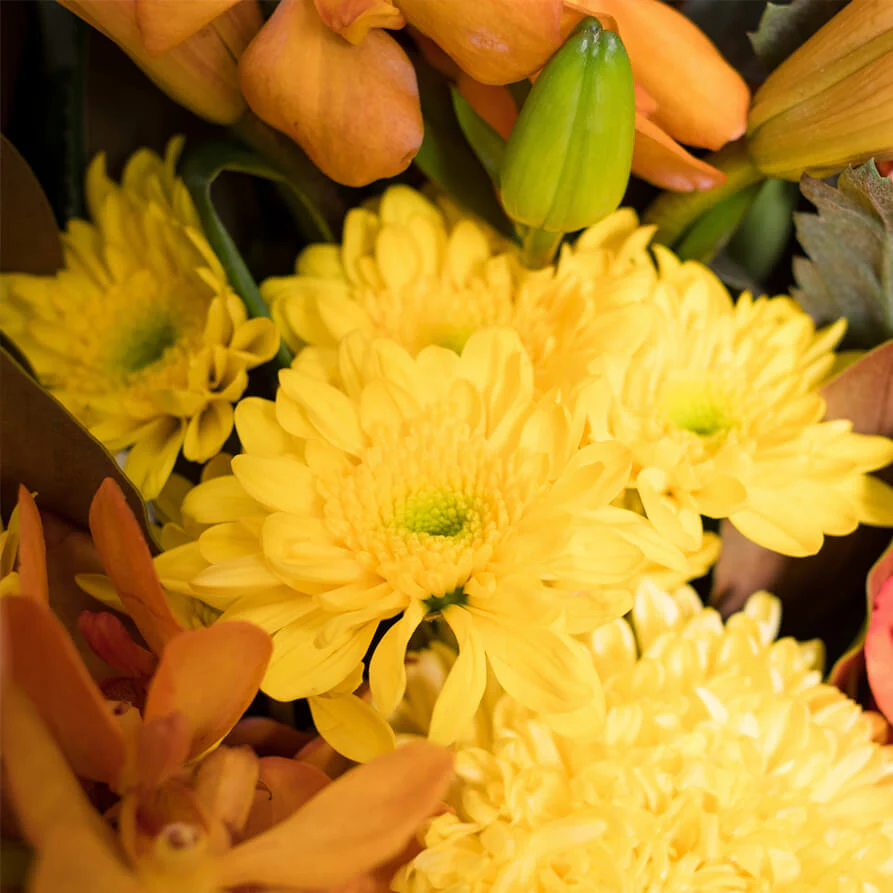 Yellow-Orange-Bouquet-th3_893x