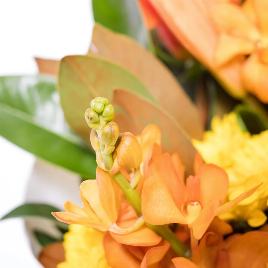 Yellow-Orange-Bouquet-th4_893x